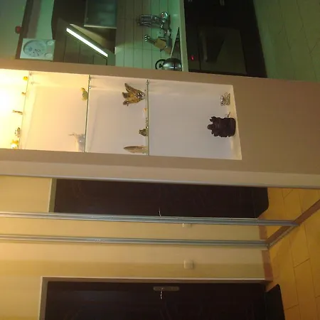 Apartment Vip In Arkadiya Odesa